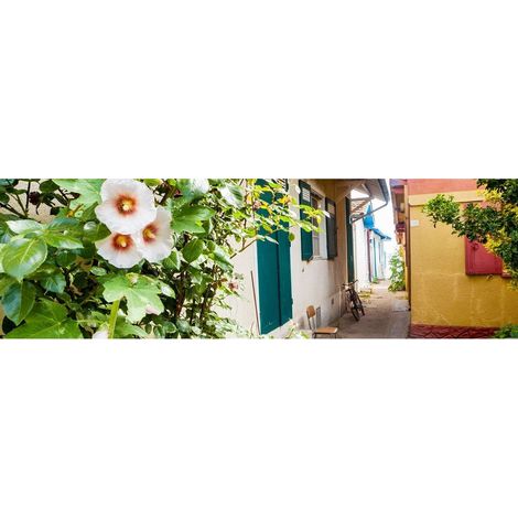 Tableau sur toile allée fleurie 30x97 cm - Impression sur Toile Murale Décorative - Image imprimée en HD sur Toile - Toile sur Châssis en Bois FSC - Fabriqué en France (1/4)