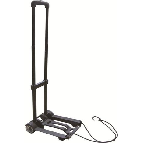 Carrello piegh 30kg - serena group (1/2)