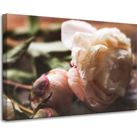 Leinwanddruck Botanik Blumen Pfingstrose 90x60 cm
