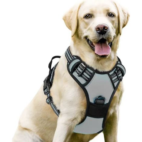 harnais chien – Harnais pour chien moyen à grand – Réglable et réfléchissant – Attache avant pour anti traction – Taille L, tour de cou 46-66 cm, tour de poitrine 38-89 cm-Gris argenté