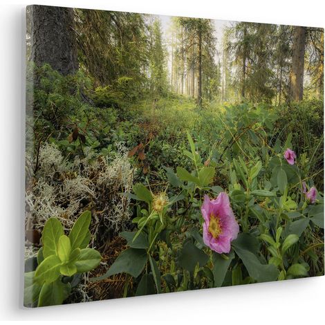 Komar Canvasbild Charming Woods - 40 x 60 cm - Bild auf Keilrahmen - Naturmotiv (1/2)