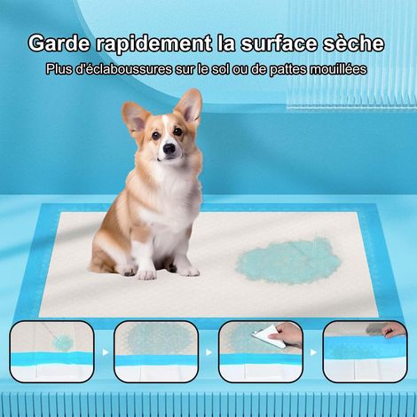 Tapis d'apprentissage de la propreté pour chien et chiot absorbant et étanche 70x85 cm grande taille (1/3)