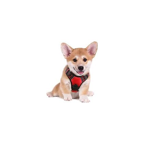 Harnais chien anti-traction rouge S, gilet réfléchissant réglable, attache devant, pour Bouledogue Français, Berger Australien, randonnée, voiture –