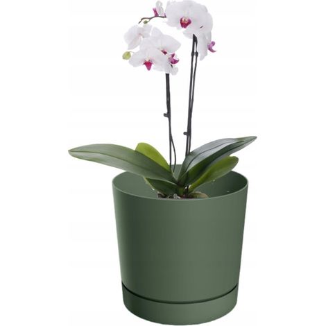 Pot de fleurs en pin vert avec soucoupe 23,9 cm Tubo (1/2)