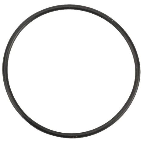 O-Ring 59,99 x 2,62 90 Shore UNIVERSAL OR599926290P001 (1/2)
