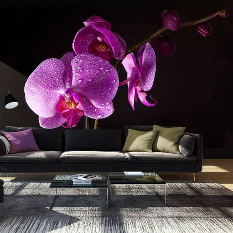 Fotomurale - di buon gusto orchidea - 450x270 (1/4)