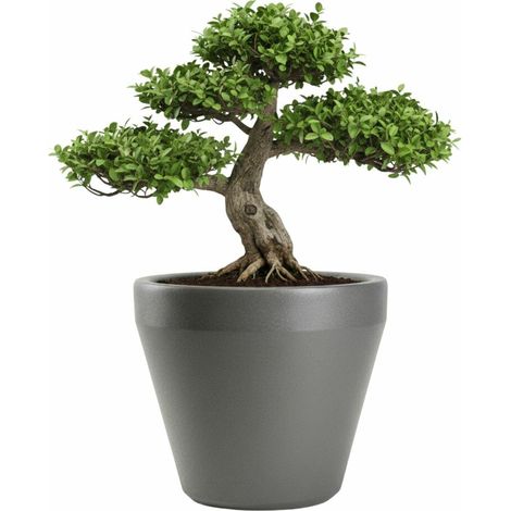 Vaso da giardino Purea, antracite, h56,5x61,3 cm