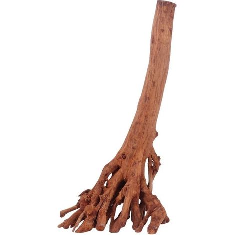M Jungle Wood Wurzel Nr.4438 Holz Deko Aquascaping