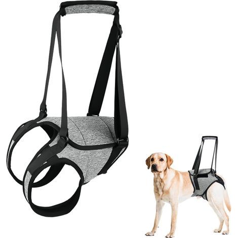 Hinterbein-Stützgeschirr für Hunde, großes Hundegeschirr mit Hebegriff, verstellbares Welpengeschirr zur Schmerzlinderung, Rehabilitationsgeschirr für Hunde nach Operationen (Größe M) (1/5)