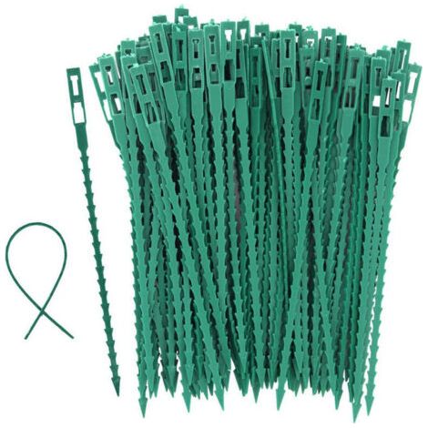 100 Stück Pflanzenclips-17cm für Tomaten Bäume Gewächshaus-Kabelbinder aus Kunststoff Wiederverwendbare Pflanzenbinder für Sträucher Gartenarbeit (1/5)