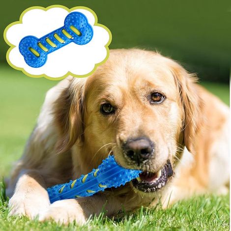 Jouet indestructible pour chien, os en caoutchouc couineur résistant pour petits moyens et grands chiens (1/5)