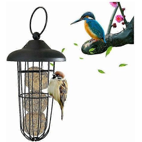 Mangeoire à oiseaux en métal anti-écureuils - Distributeur automatique de boules de graisse suspendu pour la faune du jardin (1/5)
