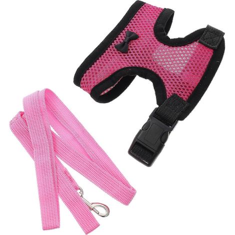 Arnés tipo chaleco para gallinas para entrenamiento con correa, estilo ponible. (1/5)