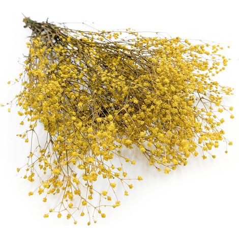 Gypsophila estabilizada - Amarillo pastel