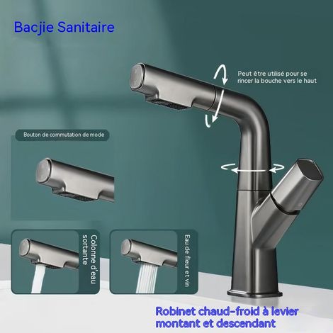 Robinet lavabo rotatif rétractable gris pistolet, mitigeur chaud froid hauteur réglable (1/4)