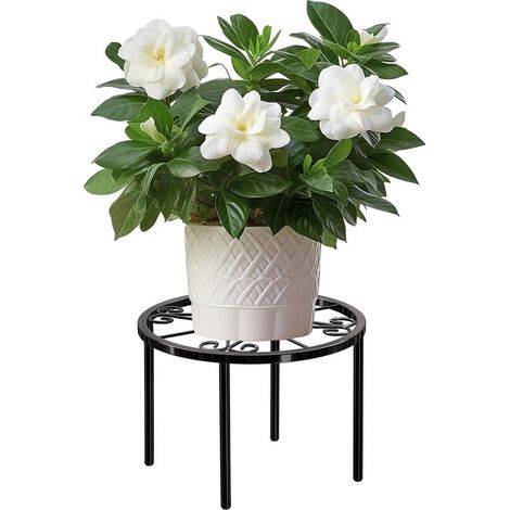 Mensola per piante in acciaio inox, mensola da giardino, mensola per vasi di fiori, per piante e fiori da interno ed esterno, sulla terrazza e in giardino, Dur (1/5)