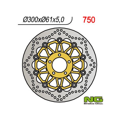 DISCO DE FRENO DELANTERO NG KAWASAKI ZX6R '95-'02, ZR 550/750 ZEPHYR, ZZR600 '90-'06 Z750 '04- (300x61x5) (5x10,25mm) (1/2)