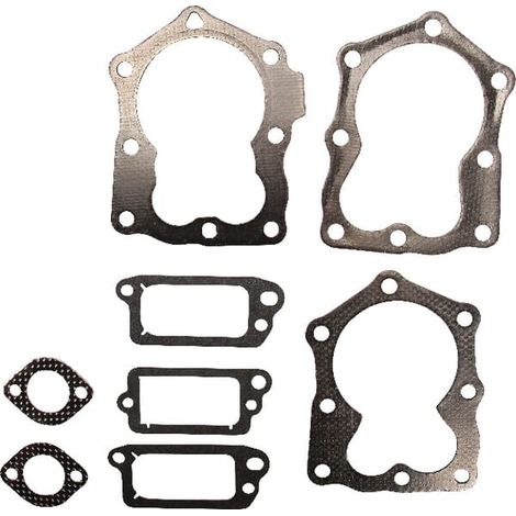 Set di tenuta BRIGGS ET STRATTON 590507