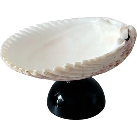 Verre à vin à pied en coquillage naturel, verre artistique en coquillage irrégulier, décoration intérieure.