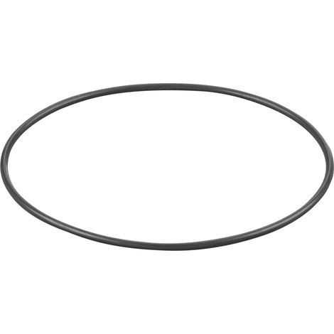 Rems O-Ring 060358