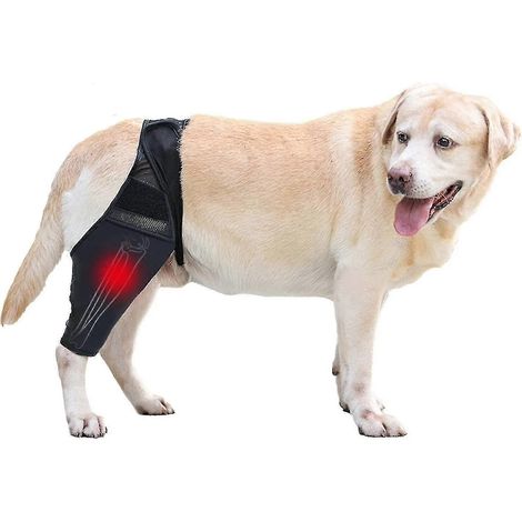 Genouillère pour chien en cas de rupture du LCA, de luxation de la rotule et d'arthrite - Maintient l'articulation au chaud - Soutien supplémentaire - Réduit la douleur et l'inflammation - M (1/5)