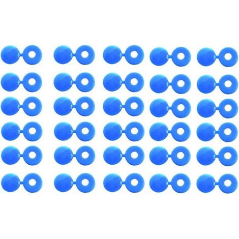 Cappucci copri rivetti blu per targhe di registrazione