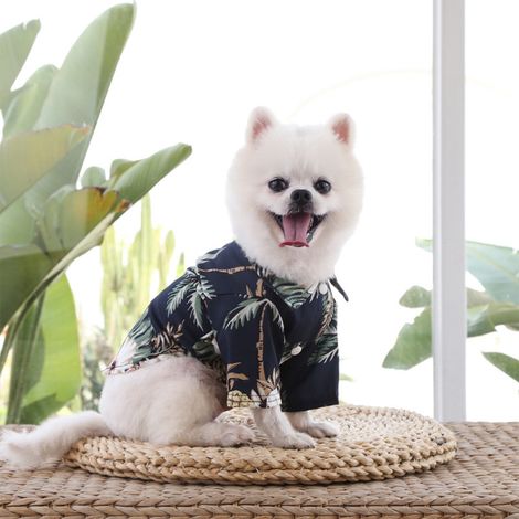 T-shirt Pour Animal De Compagnie - Tissu Polyester Respirant - Design Tropical Plage - Pour Chiens Et Chats Tailles XS À 2XL - 1 Pièce (1/5)