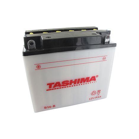 Batterie Bleisäure Tashima Verstärkt 12V, 19Ah Für Rasentraktor. L: 175, B: 100, H: 155 mm, + Links Für Motorräder, Jet-Ski. (inklusive Lieferung)