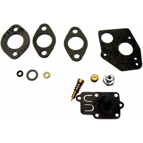 Kit membrane + joint de carburateur pour BRIGGS ET STRATTON (1/3)