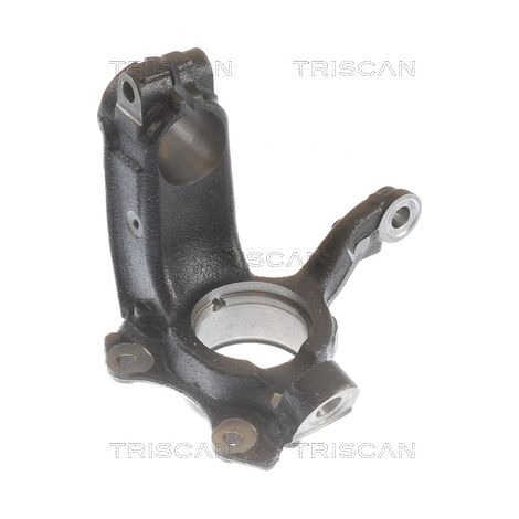 Fusée d'essieu, suspension de roue Triscan 8500 29722 AUDI 6C0 407 256 A