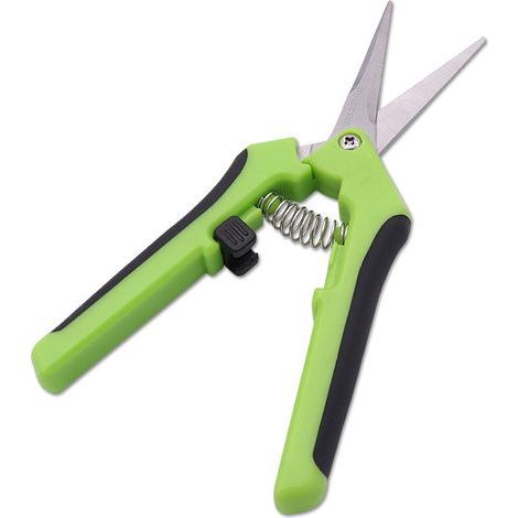 Ciseaux de Jardin, Ciseaux de Vigne Ergonomiques avec Lame en Acier Inoxydable pour Branches, Fleurs, Roses, Fruits, Plantes, Bonsaïs, Facile à Utiliser (1/5)
