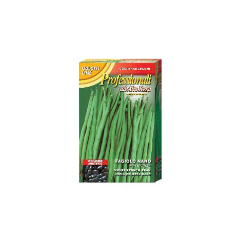 SCATOLA SEMI DI FAGIOLO NANO WINTERGREEN