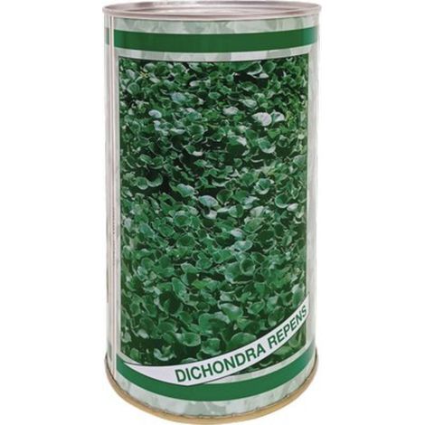 SEME PRATO DICHONDRA REPENS - GR 500 - 2 pezzi