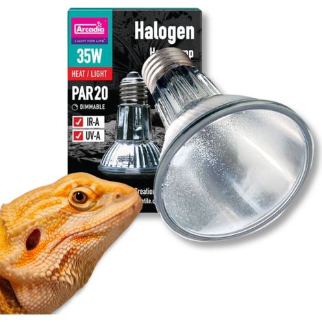 Arcadia 35W Spot-Halogen-Wärmelampe (UVA) (1/5)