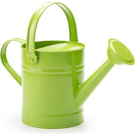 Arrosoir en fer - 1,5 l - Multicolore - En métal - Pour le jardinage, le jardinage - Avec joint torique - Petit arrosoir pour plantes - Outil de douche pour jardin en extérieur