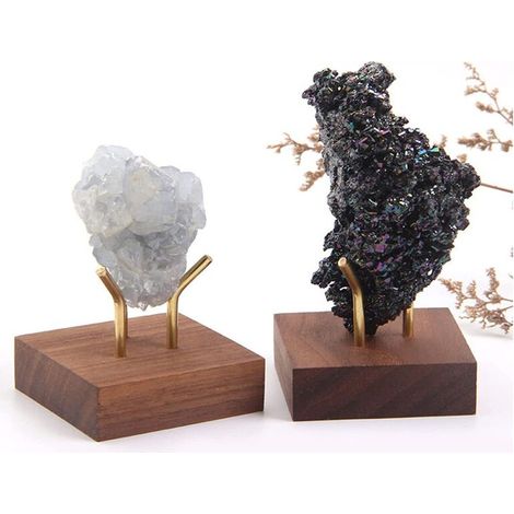 Adecuado para soportes de exhibición de cristal de cuatro piezas con bases de madera de nogal, ideal para geodas de coral fósil, rocas, minerales, ágata y especies pequeñas.