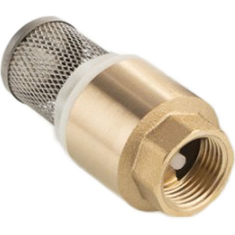 Crépine femelle en laiton avec clapet et tamis – Filtration efficace pour irrigation – Dimensions 33 x 42 mm – Tamis inox durable – Rain