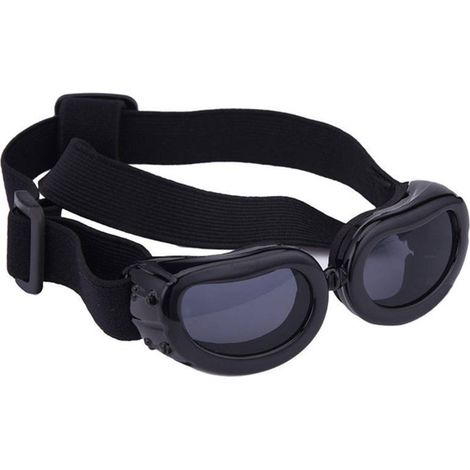 Lunettes pour chien (1/5)