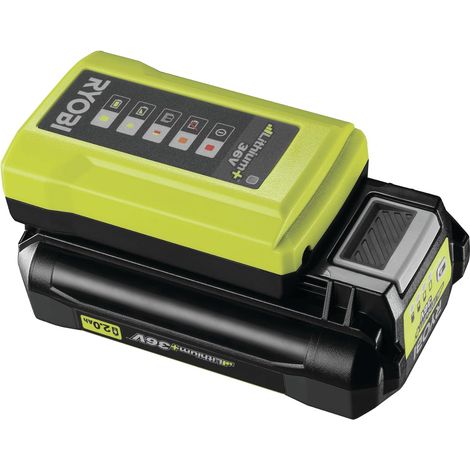 Kit Batterie et Chargeur 36V Max Power RY36BC17A-120 – Batterie Lithium+ 2,0 Ah + Chargeur Rapide, Compatible Tondeuse, Souffleur, Taille-Haie, Tronçonneuse et Entretien du Jardin (1/5)