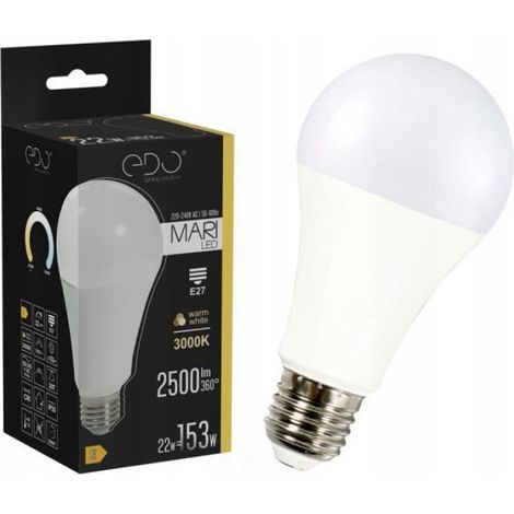 Ampoule LED - - MARI - 22W - Blanc chaud - 2500lm (1/4)