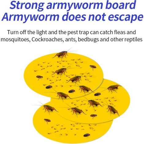 Ampoules anti-puces avec 5 plaques collantes, pièges à punaises de lit pour chats et chiens (1/5)