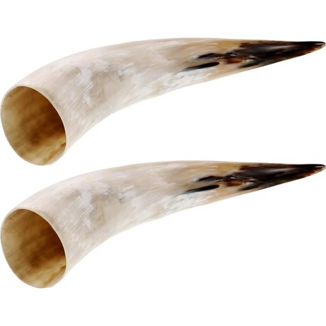 Vase Mural en Corne de Vache Naturel 20-30 Cm, Lot de 2 Pièces, Objet Décoratif Rustique Vintage pour Fleurs Séchées et Décoration Murale Intérieure (1/5)