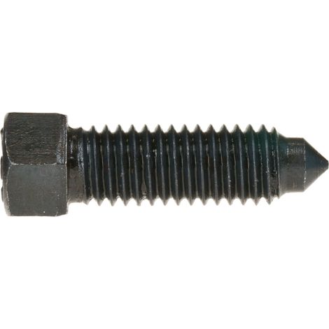 Reidl DIN 564 Sechskantschraube mit Ansatzspitze Form B 24x100 8.8 blank (1/3)