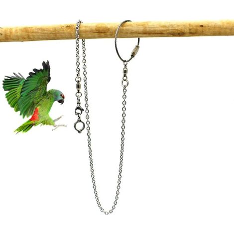 Accessoires pour cage oiseau Perroquet Anneau De Pied en Acier Inoxydable, Chaîne D'anneau De Pied De Perroquet, Chaîne Activité D'ouverture pour Cockatiel Cacatoès Soleil Moine Perruche Oiseau Stand