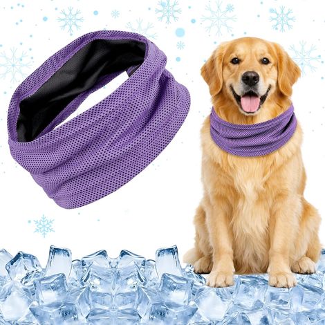 Bandana de Refroidissement pour Chien（M）, Collier Rafraichissant Chien, Bandana Chien Refroidissement, Respirante Collier Rafraîchissant pour Chiens, Écharpe Rafraîchissante pour Animaux de Compagnie (1/5)