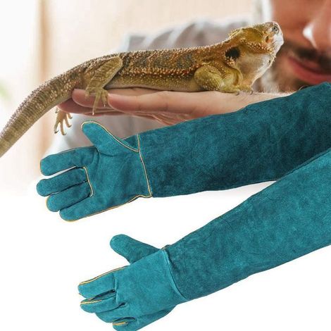 EASYCOMFORT Gants de Protection en Cuir Anti-Morsure pour Chien, Chat, Oiseau, Serpent, Lézard et Reptile - Gants de Manutention Sécurisés pour le Bain, le Toilettage et la Manipulation d'Animaux (1/5)