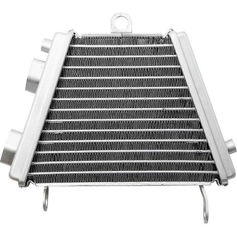 Compatible avec les modèles GSXR 1000 de 2009 à 2016, y compris les modèles 2015, 2014, 2013, 2012, 2011 et 2010 avec des ensembles moteur en aluminium. (1/5)