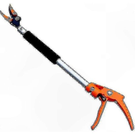 Sécateur télescopique à long manche pour travaux de taille d'arbres et de jardin (1/5)