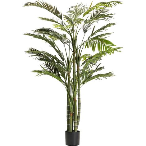 Planta Palmera Areca 110X110X190 Cm (1/2)