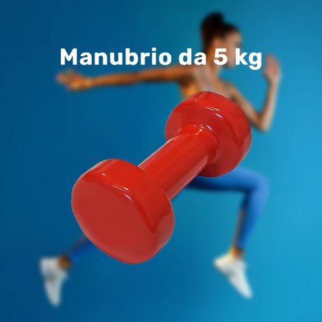 Haltère Simple En Vinyle De 5 Kg Pour Salle De Gym à Domicile (1/2)